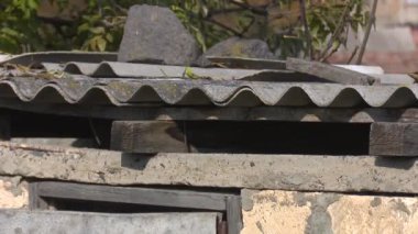 Avrupa köyündeki eski evler