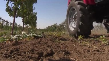 Çiftlikte çalışan kırmızı traktör.