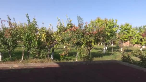Большая Ферма Красных Зеленых Яблок — стоковое видео