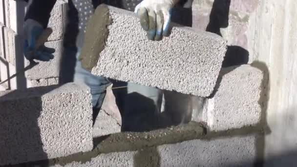 Pracovní Proces Výstavby Zdí — Stock video