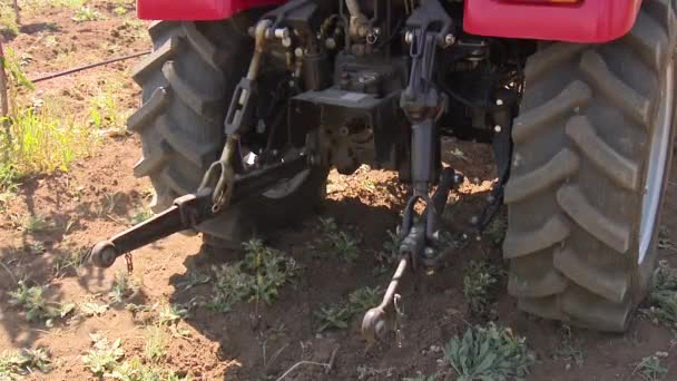 Tractor Rojo Trabajando Granja — Vídeo de stock