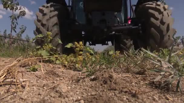 Červený Traktor Pracující Farmě — Stock video