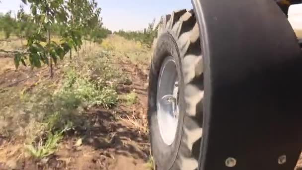Красный Трактор Работает Ферме — стоковое видео