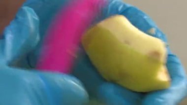 Kurumuş meyve fabrikasında çalışma süreci