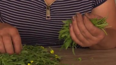 biberiye serasında çalışma süreci