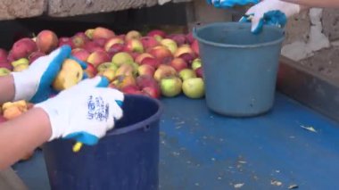 elma suyu fabrikası çalışma süreci