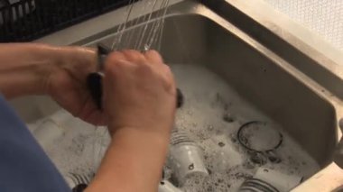 seradaki aquaponics çiftliği