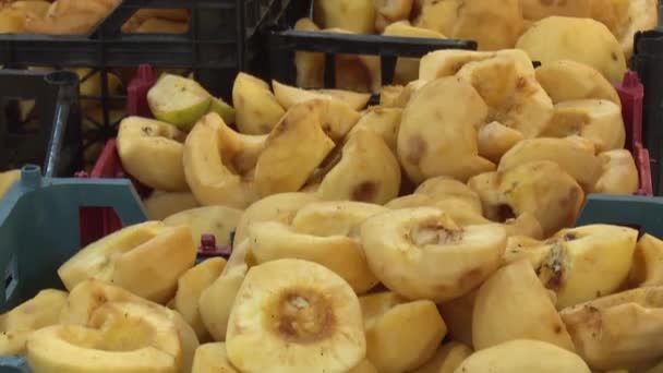 Kurumuş Meyve Fabrikasında Çalışma Süreci — Stok video