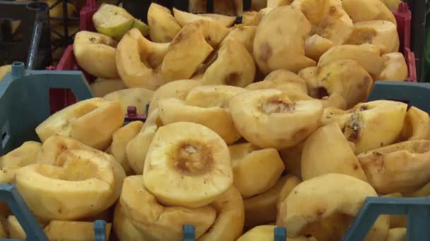 Munkafolyamat Szárított Gyümölcsgyárban — Stock videók