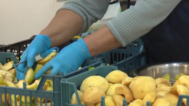 Processo Lavorazione Fabbrica Frutta Secca — Video Stock