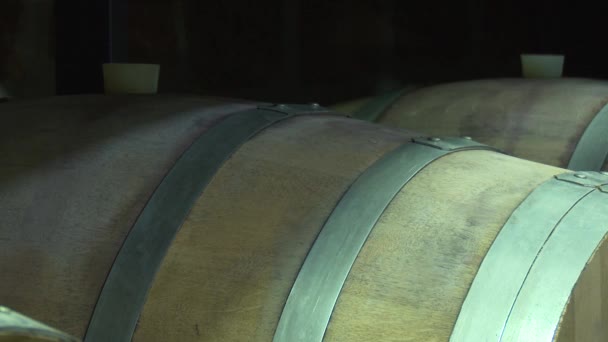 Робочий Процес Виноробному Заводі — стокове відео