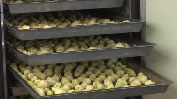 Kurumuş Meyve Fabrikasında Çalışma Süreci — Stok video