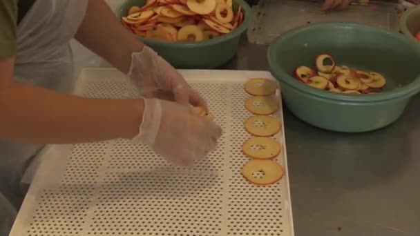Arbeitsprozess Der Apfelsaftfabrik — Stockvideo