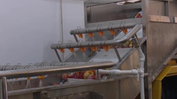 Proces Pracy Fabryki Soku Jabłkowego — Wideo stockowe