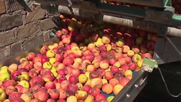 Jablečný Džus Pracovní Proces — Stock video