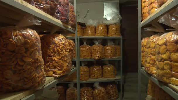 Working Process Dried Fruit Factory — Stock Video