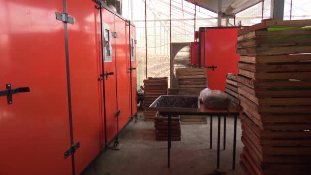 Processo Lavorazione Fabbrica Frutta Secca — Video Stock