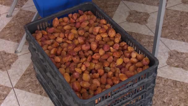 Proceso Trabajo Fábrica Frutos Secos — Vídeos de Stock