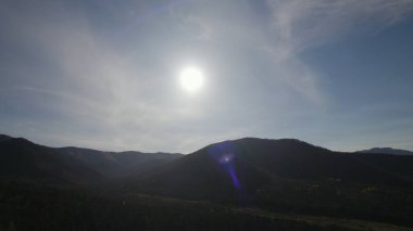 Avrupa 'da güzel renkli yoğun orman
