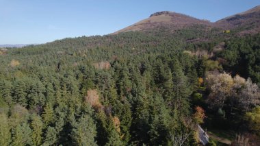 Avrupa 'da güzel renkli yoğun orman
