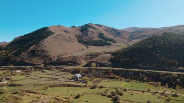 Avrupa 'da güzel renkli yoğun orman
