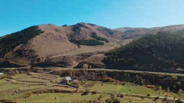 Avrupa 'da güzel renkli yoğun orman