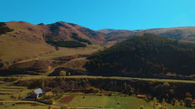 Avrupa 'da güzel renkli yoğun orman