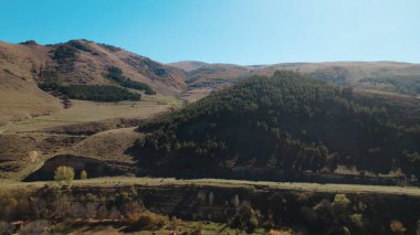 Avrupa 'da güzel renkli yoğun orman