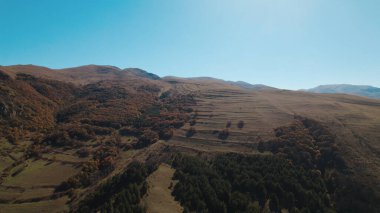 Avrupa 'da güzel renkli yoğun orman