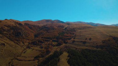 Avrupa 'da güzel renkli yoğun orman