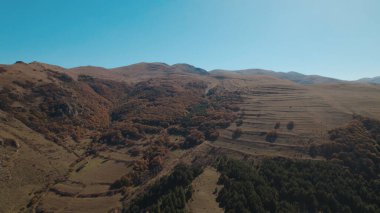 Avrupa 'da güzel renkli yoğun orman