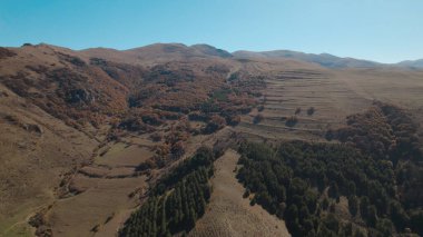 Avrupa 'da güzel renkli yoğun orman