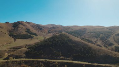 Avrupa 'da güzel renkli yoğun orman