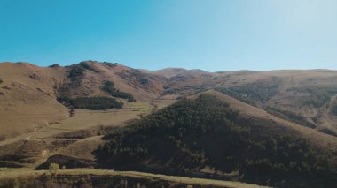 Avrupa 'da güzel renkli yoğun orman