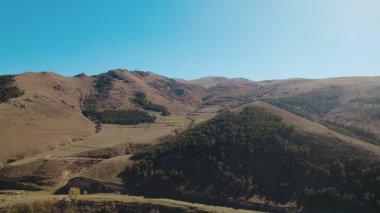 Avrupa 'da güzel renkli yoğun orman