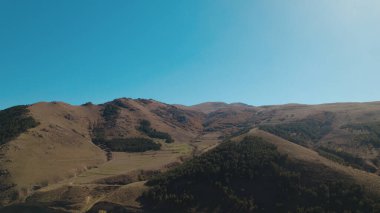 Avrupa 'da güzel renkli yoğun orman