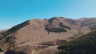 Avrupa 'da güzel renkli yoğun orman