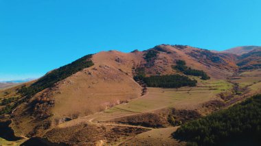 Avrupa 'da güzel renkli yoğun orman