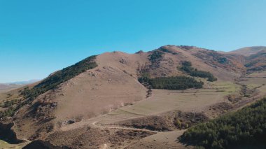Avrupa 'da güzel renkli yoğun orman
