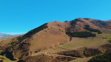 Avrupa 'da güzel renkli yoğun orman