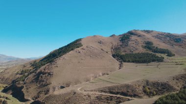 Avrupa 'da güzel renkli yoğun orman