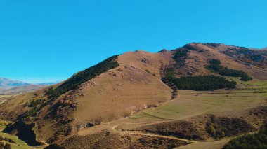 Avrupa 'da güzel renkli yoğun orman