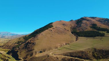 Avrupa 'da güzel renkli yoğun orman