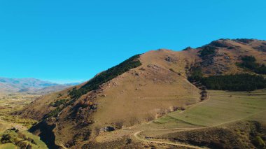 Avrupa 'da güzel renkli yoğun orman