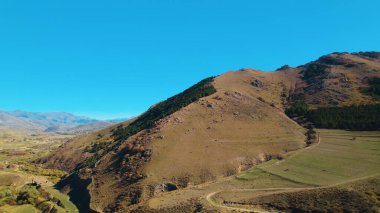 Avrupa 'da güzel renkli yoğun orman