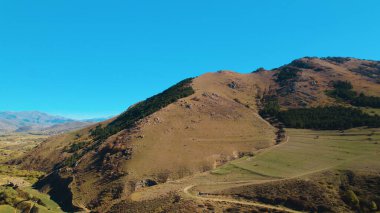Avrupa 'da güzel renkli yoğun orman