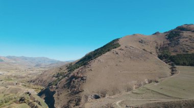 Avrupa 'da güzel renkli yoğun orman
