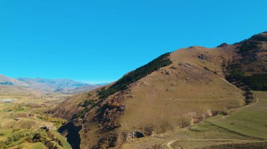 Avrupa 'da güzel renkli yoğun orman