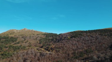 Avrupa 'da güzel renkli yoğun orman