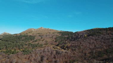 Avrupa 'da güzel renkli yoğun orman